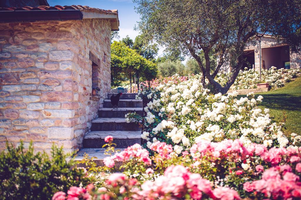 Agriturismo Casal San Sergio Fossombrone Exterior foto