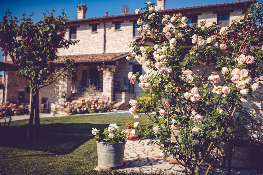 Agriturismo Casal San Sergio Fossombrone Exterior foto